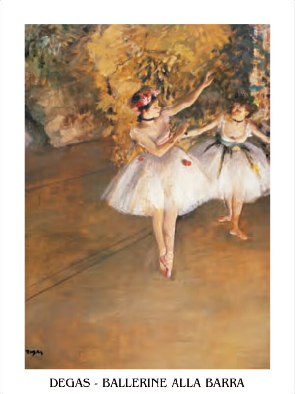 Ballerine alla barra