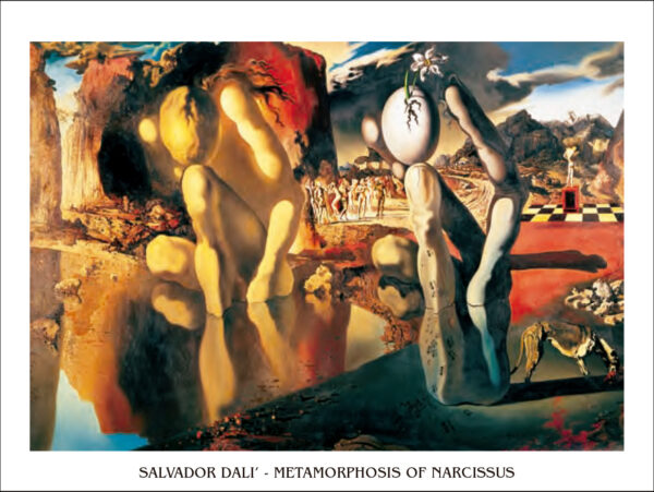 Metamorphosis of Narcissus