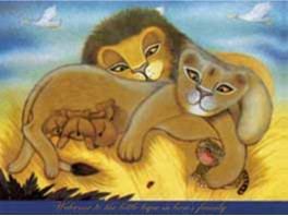 Welcome to the little tiger in lion's family