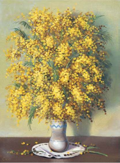 Mimose