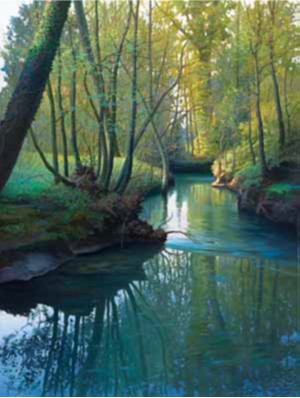 Fiume stella ad Ariis